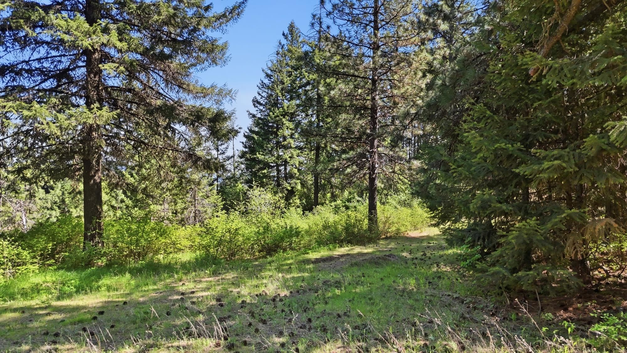 12703 S Alpine Fern Ln - Photo 31