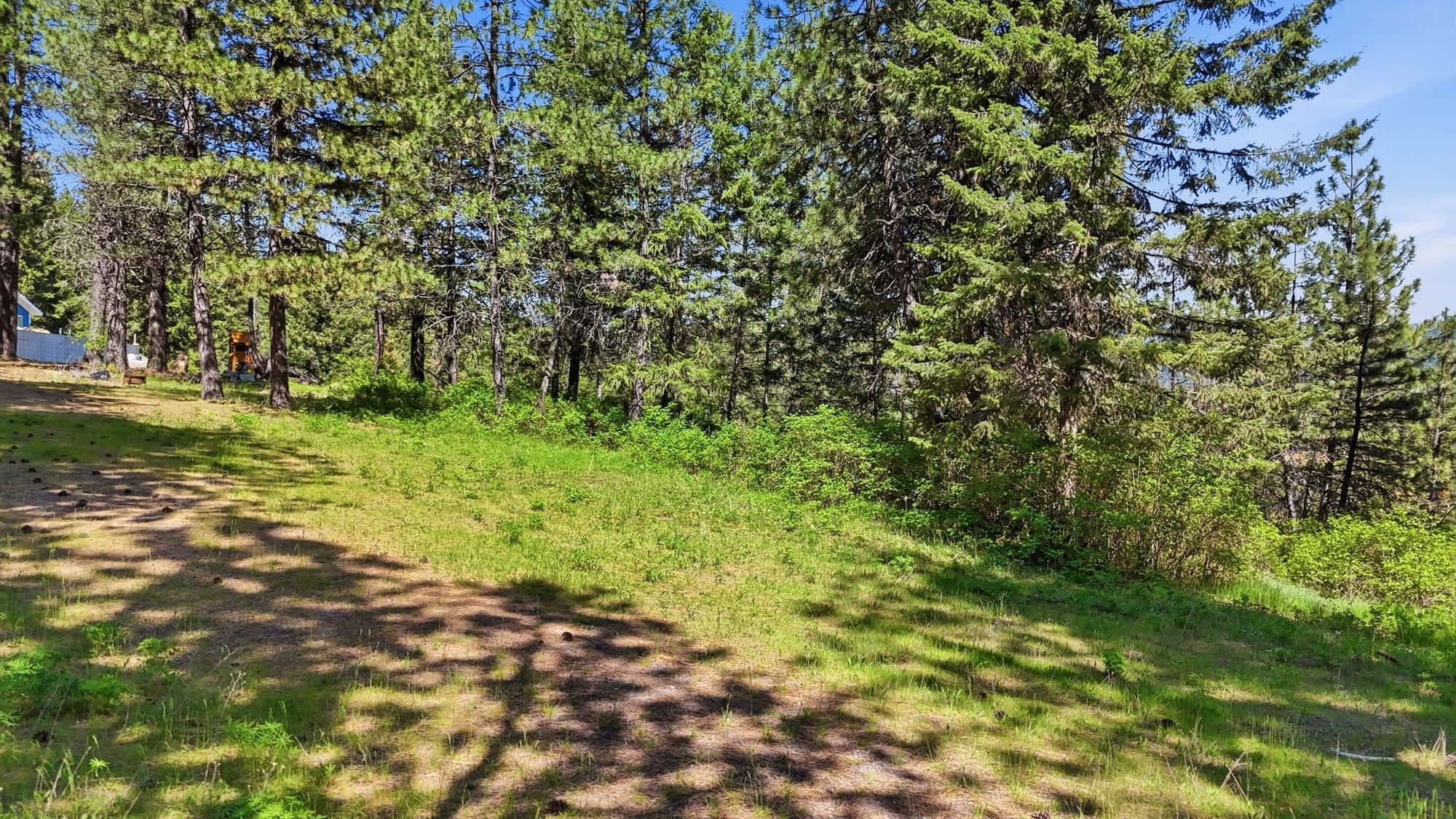 12703 S Alpine Fern Ln - Photo 32