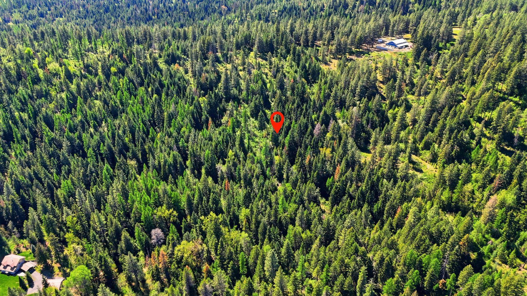 12703 S Alpine Fern Ln - Photo 37