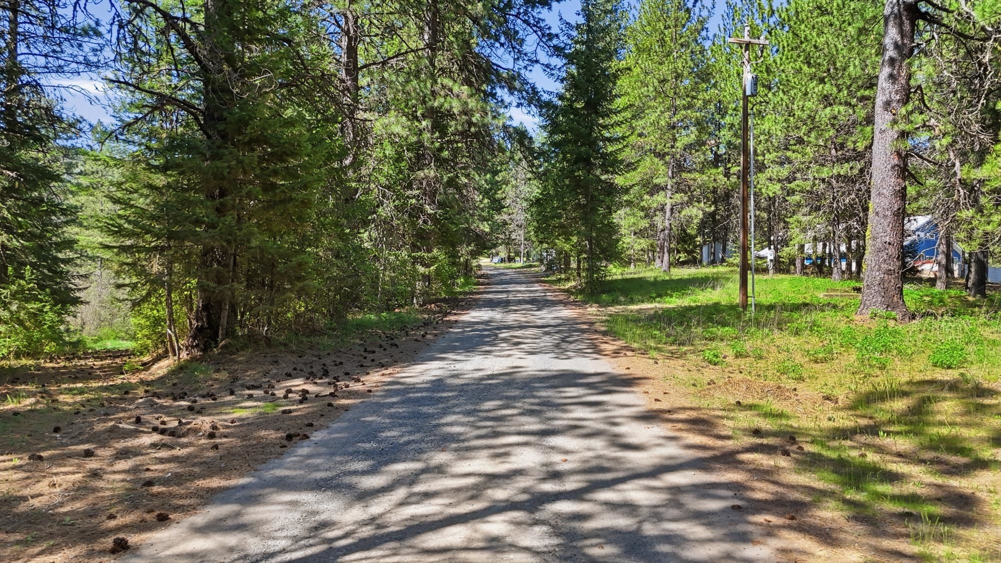 12703 S Alpine Fern Ln - Photo 10