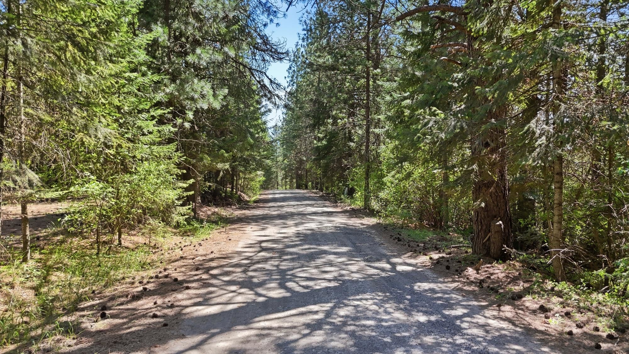 12703 S Alpine Fern Ln - Photo 11