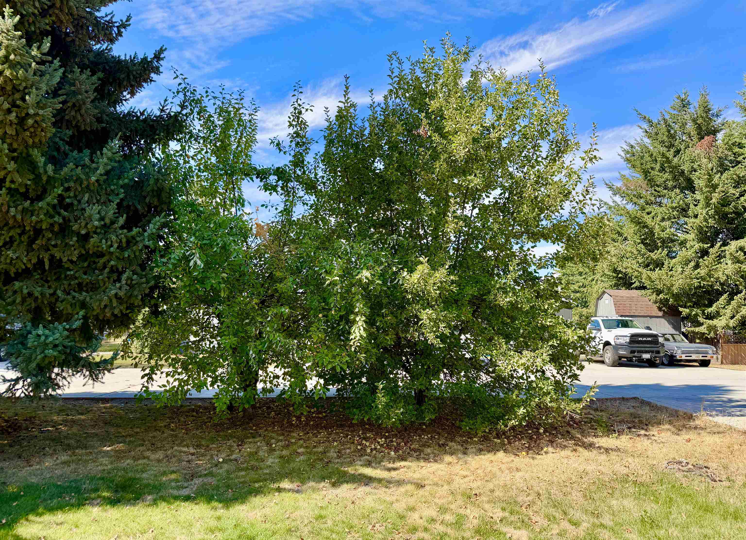 40414 N Newport Hwy #40 Hwy - Photo 37