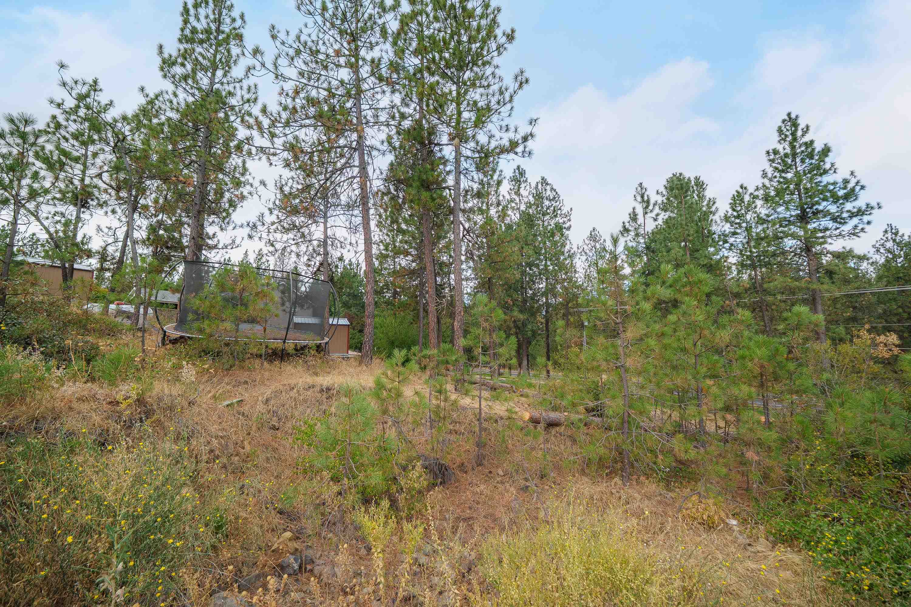 3410 S Sipko Ln - Photo 1