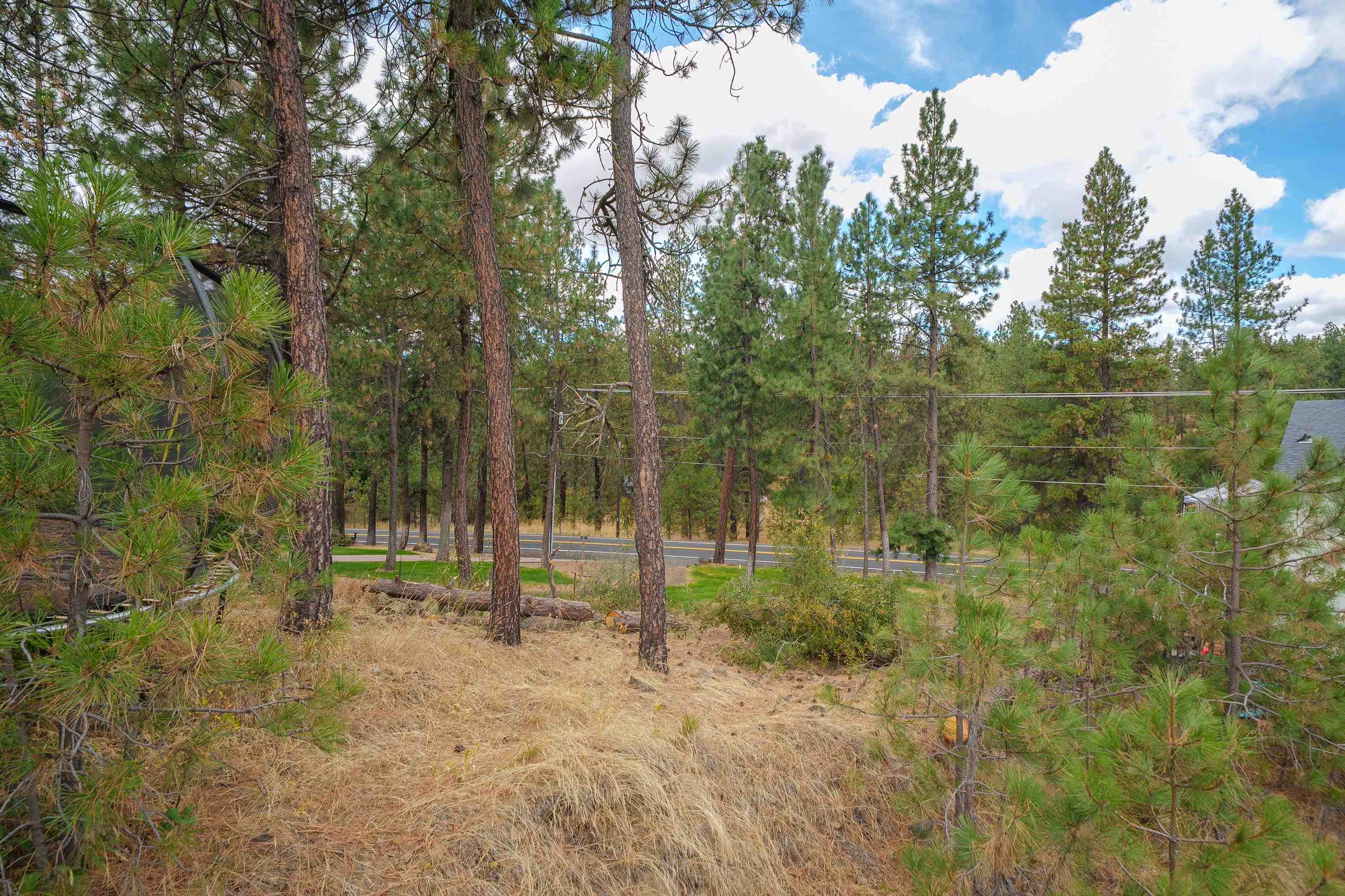 3410 S Sipko Ln - Photo 2