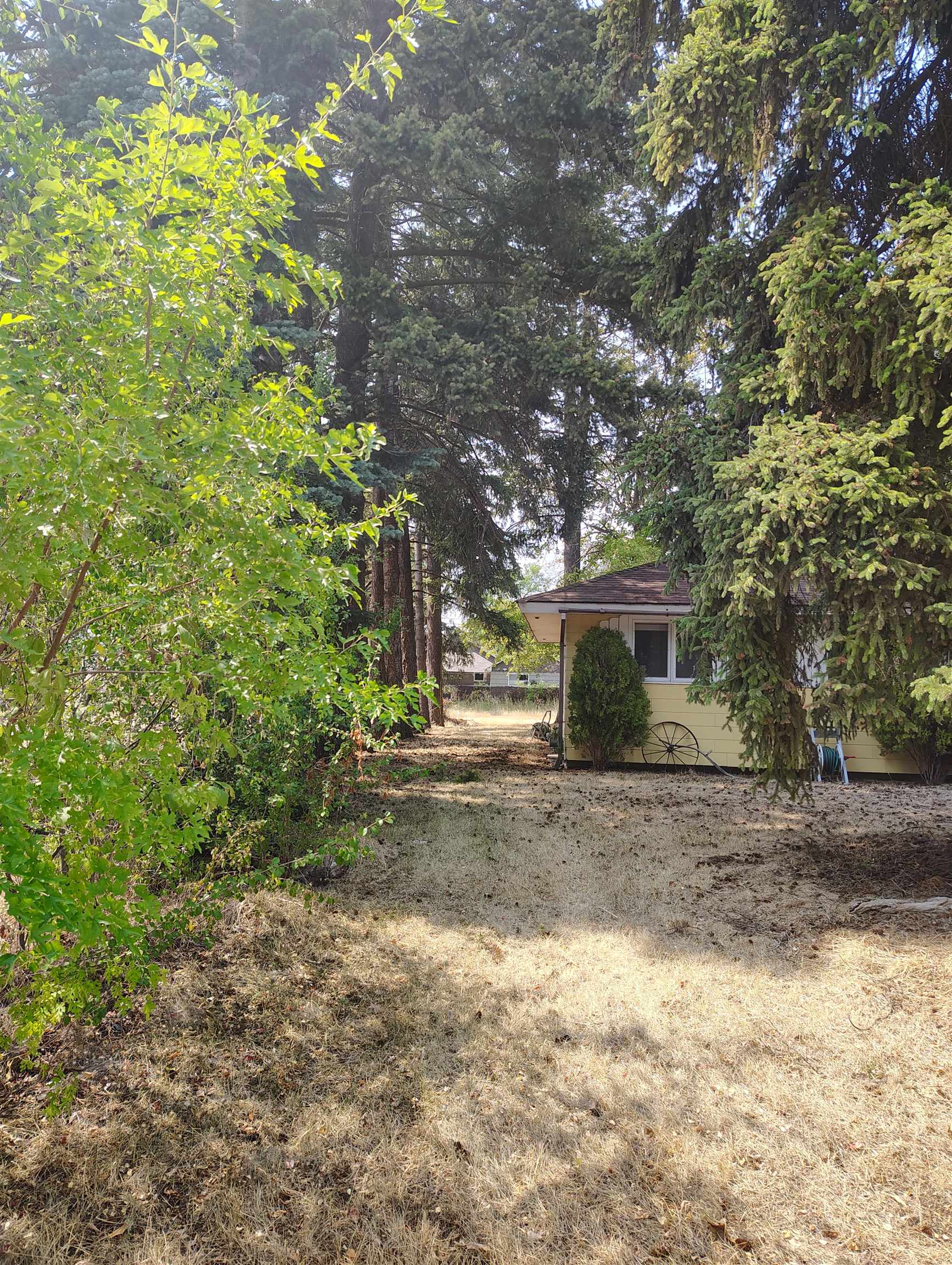 3315 N Bowman Rd - Photo 5