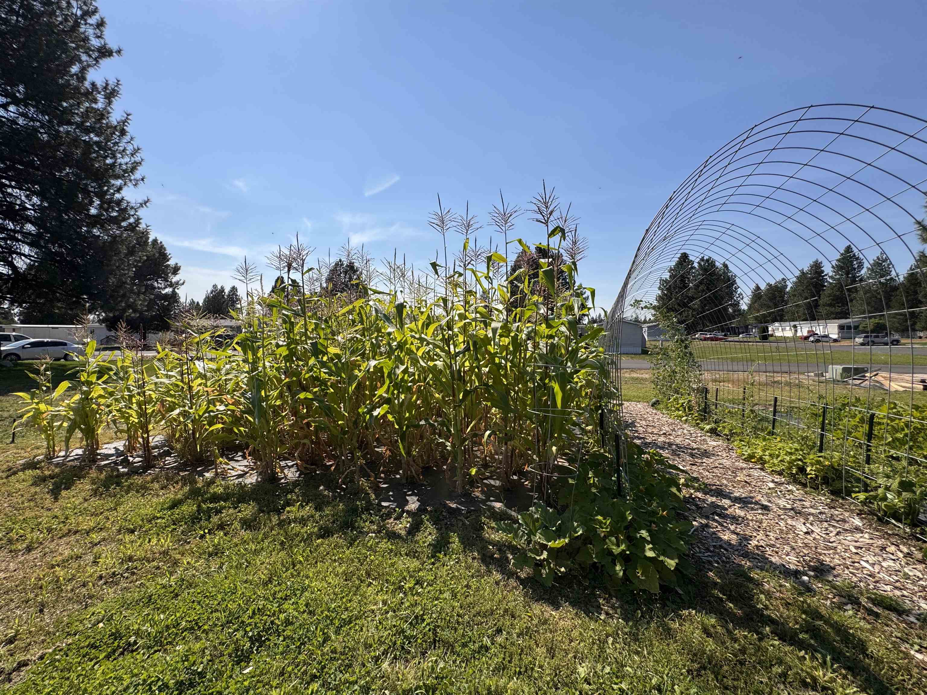 40602 N Newport Hwy - Photo 13