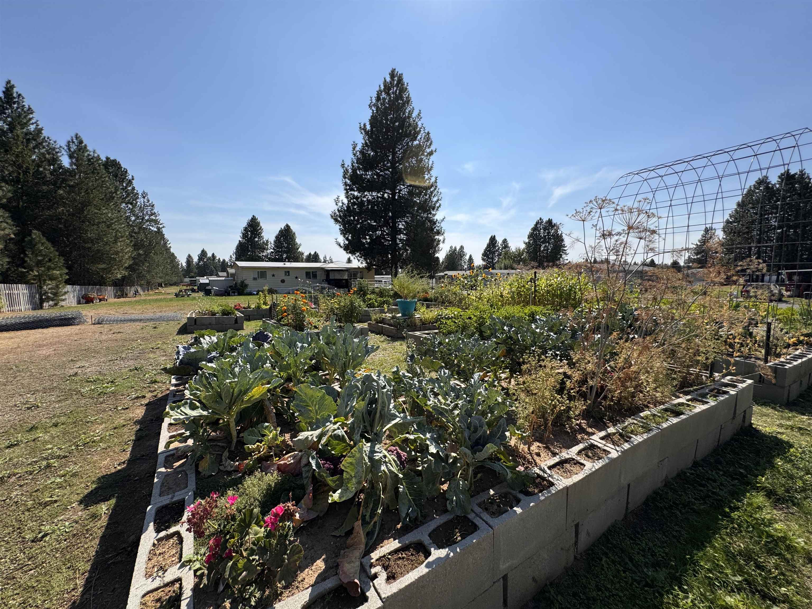 40602 N Newport Hwy - Photo 11