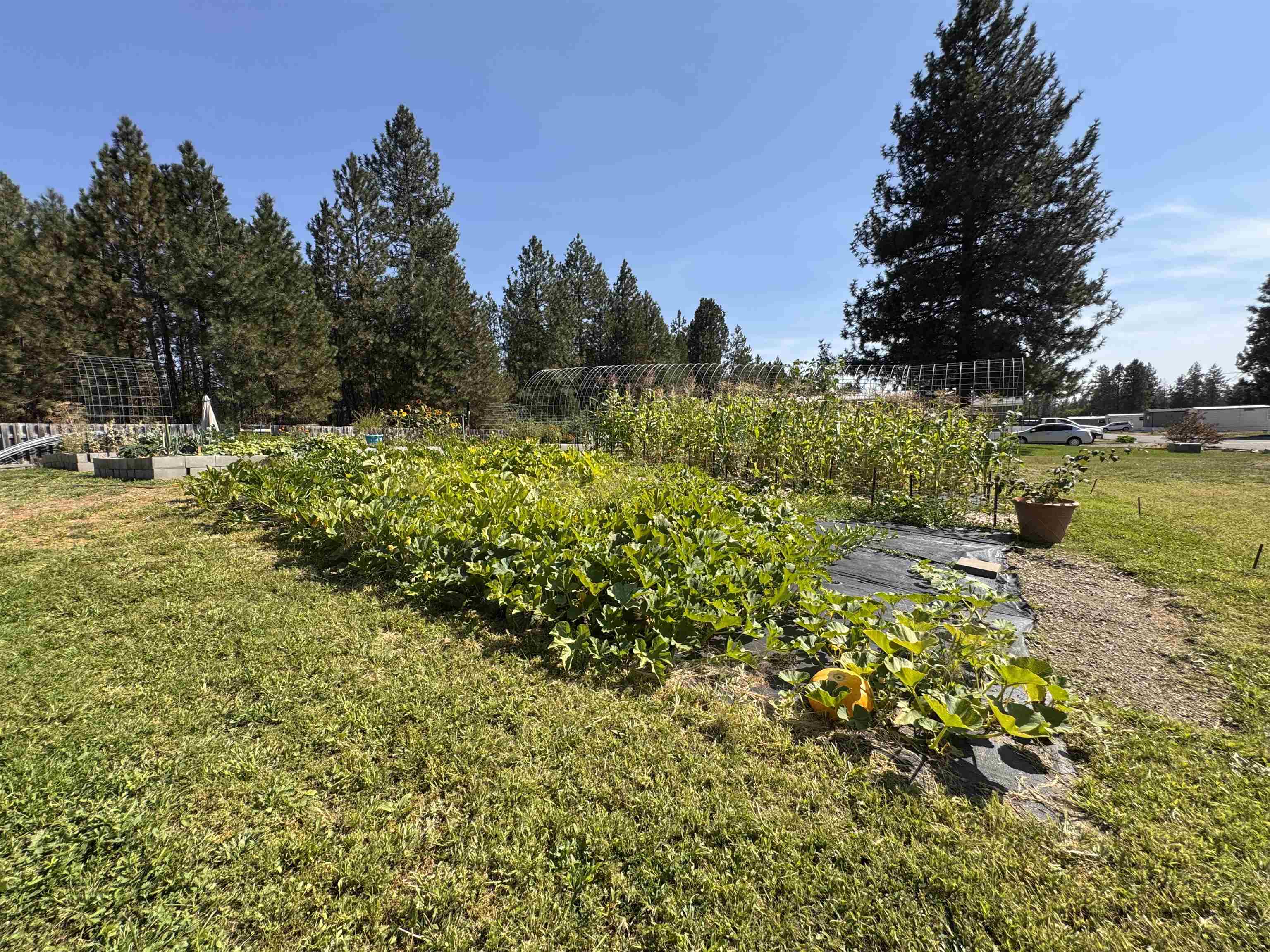 40602 N Newport Hwy - Photo 14