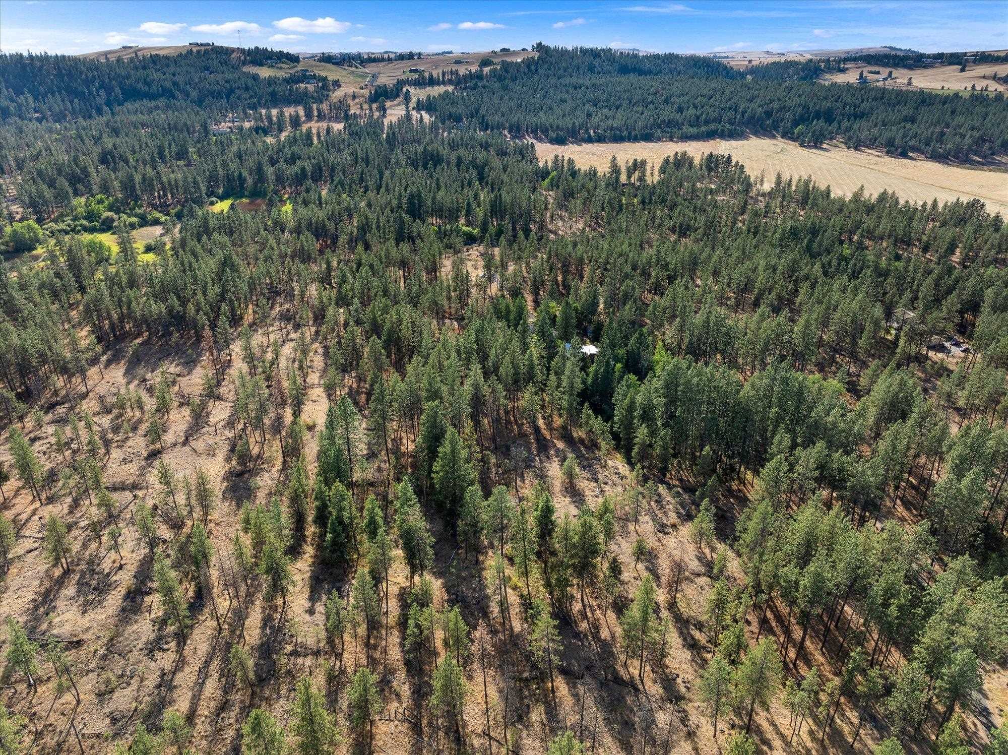 12717 S Spotted Rd - Photo 36