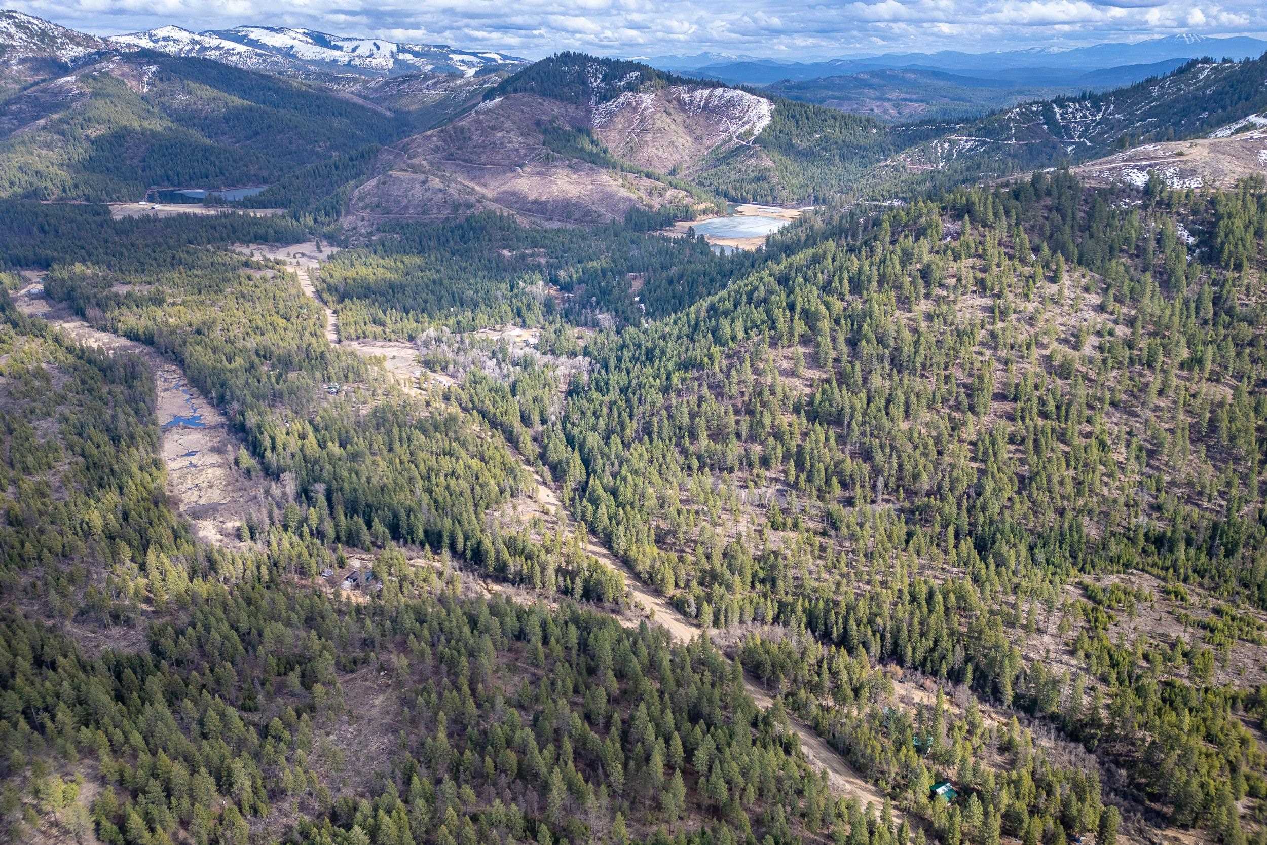 41XX Grouse Creek Rd - Photo 3