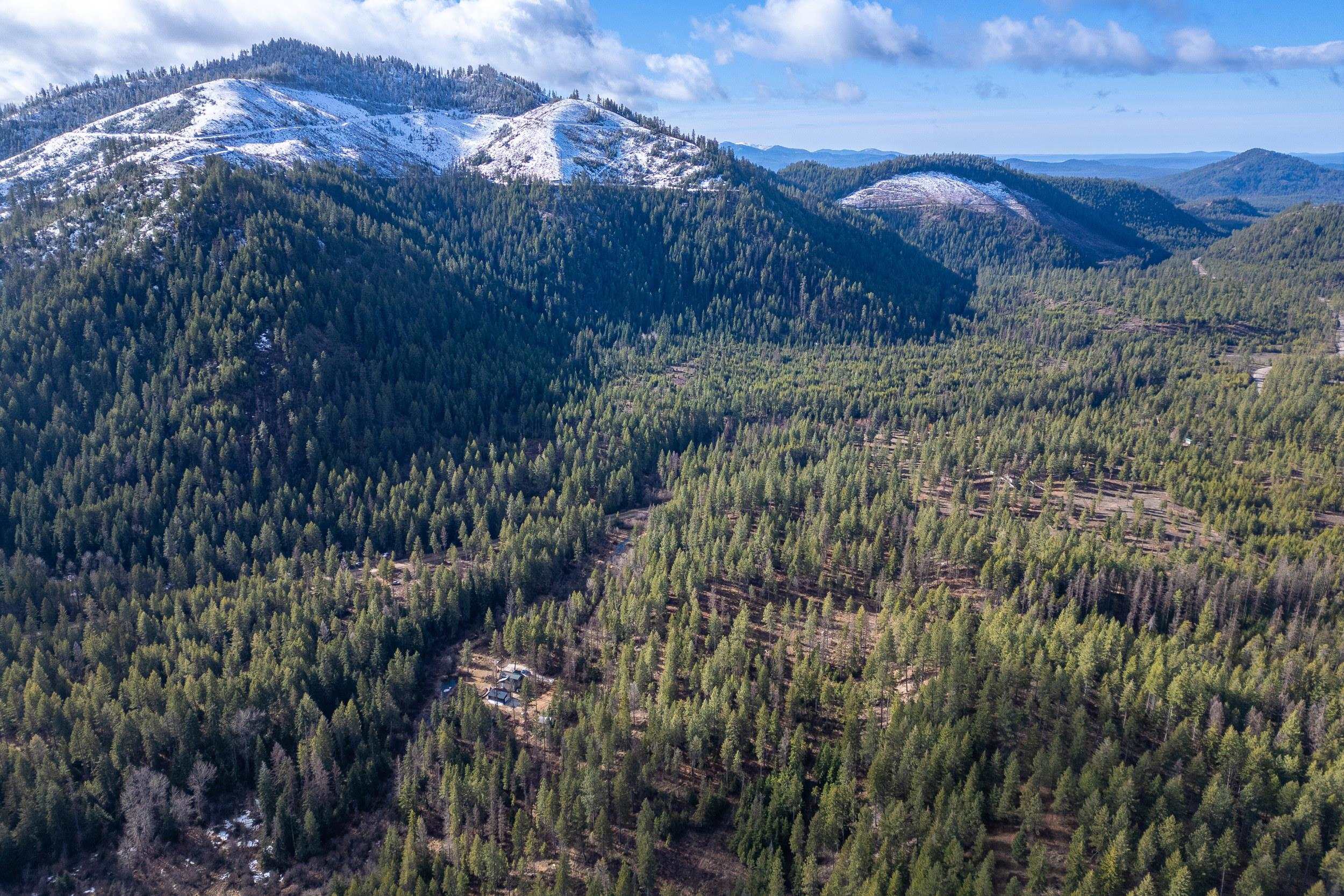 41XX Grouse Creek Rd - Photo 4