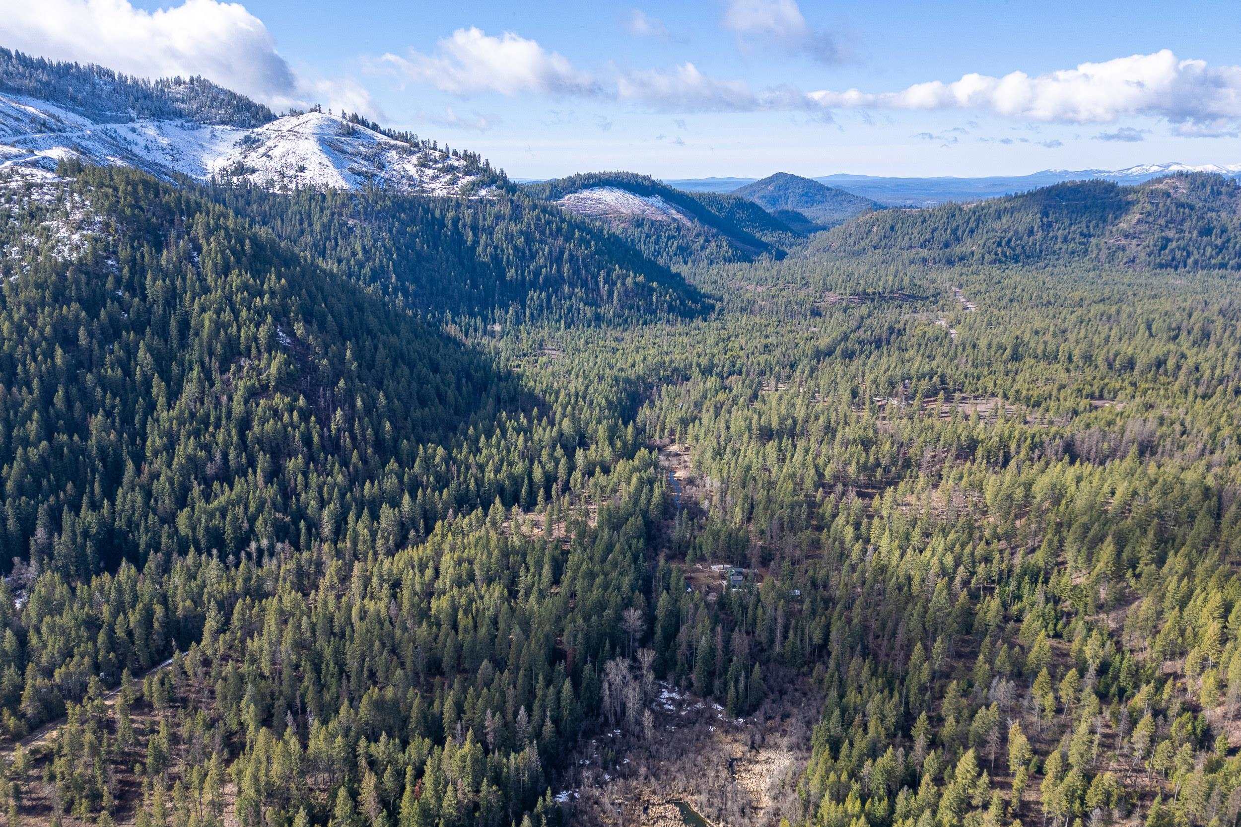 41XX Grouse Creek Rd - Photo 5