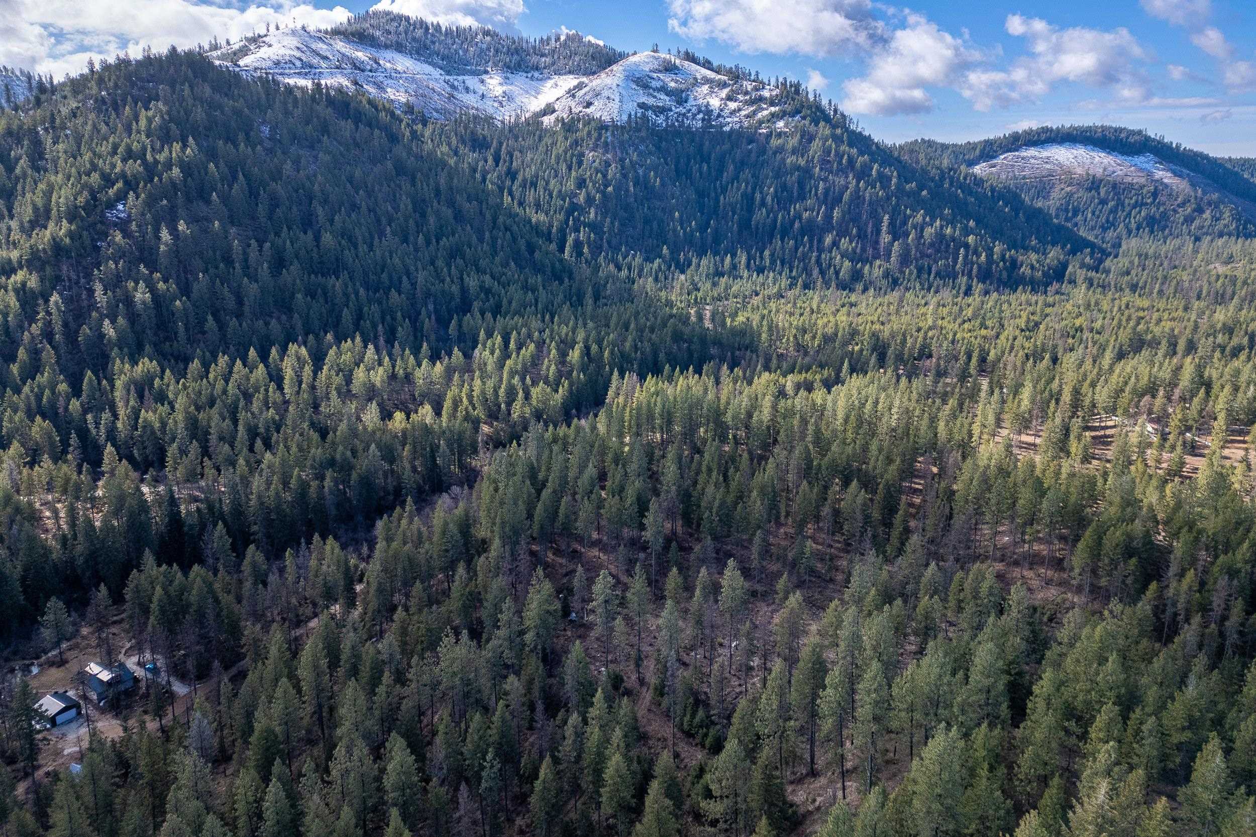 41XX Grouse Creek Rd - Photo 6