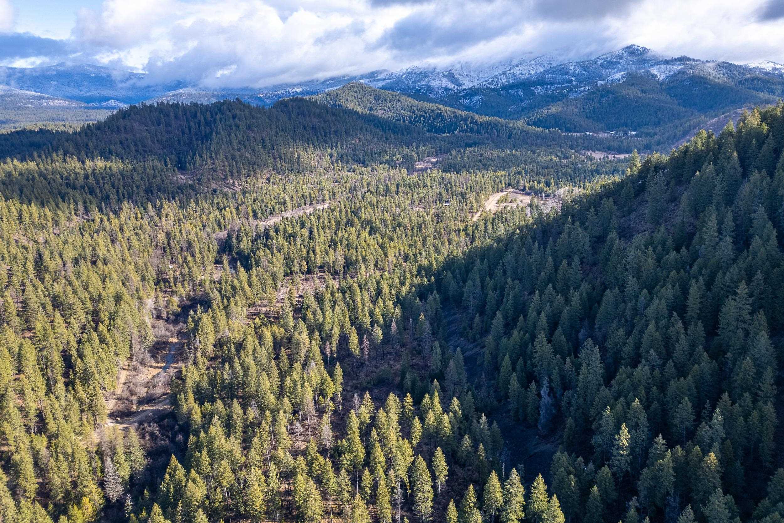 41XX Grouse Creek Rd - Photo 8