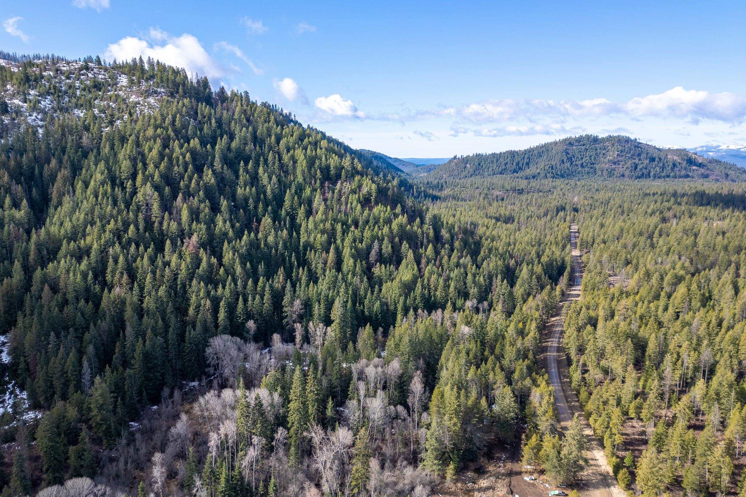 41XX Grouse Creek Rd - Photo 9