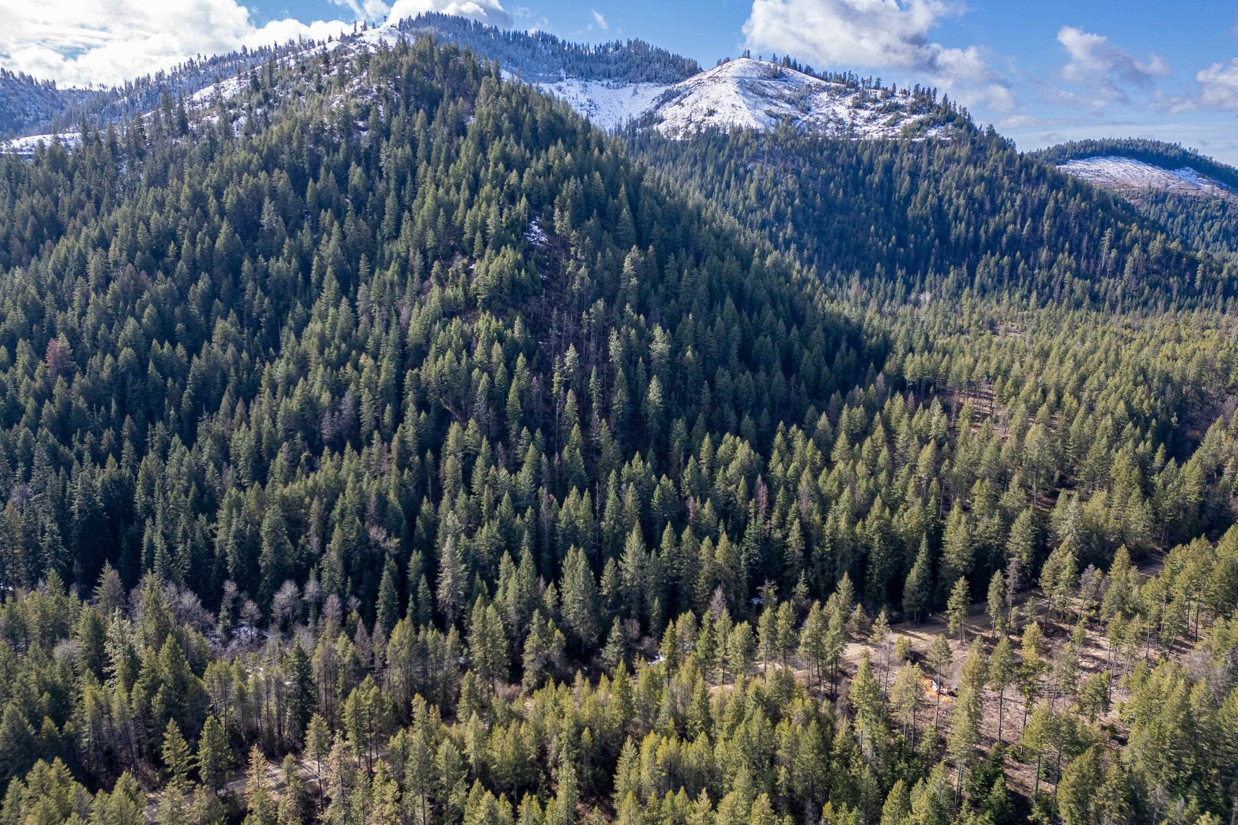 41XX Grouse Creek Rd - Photo 10