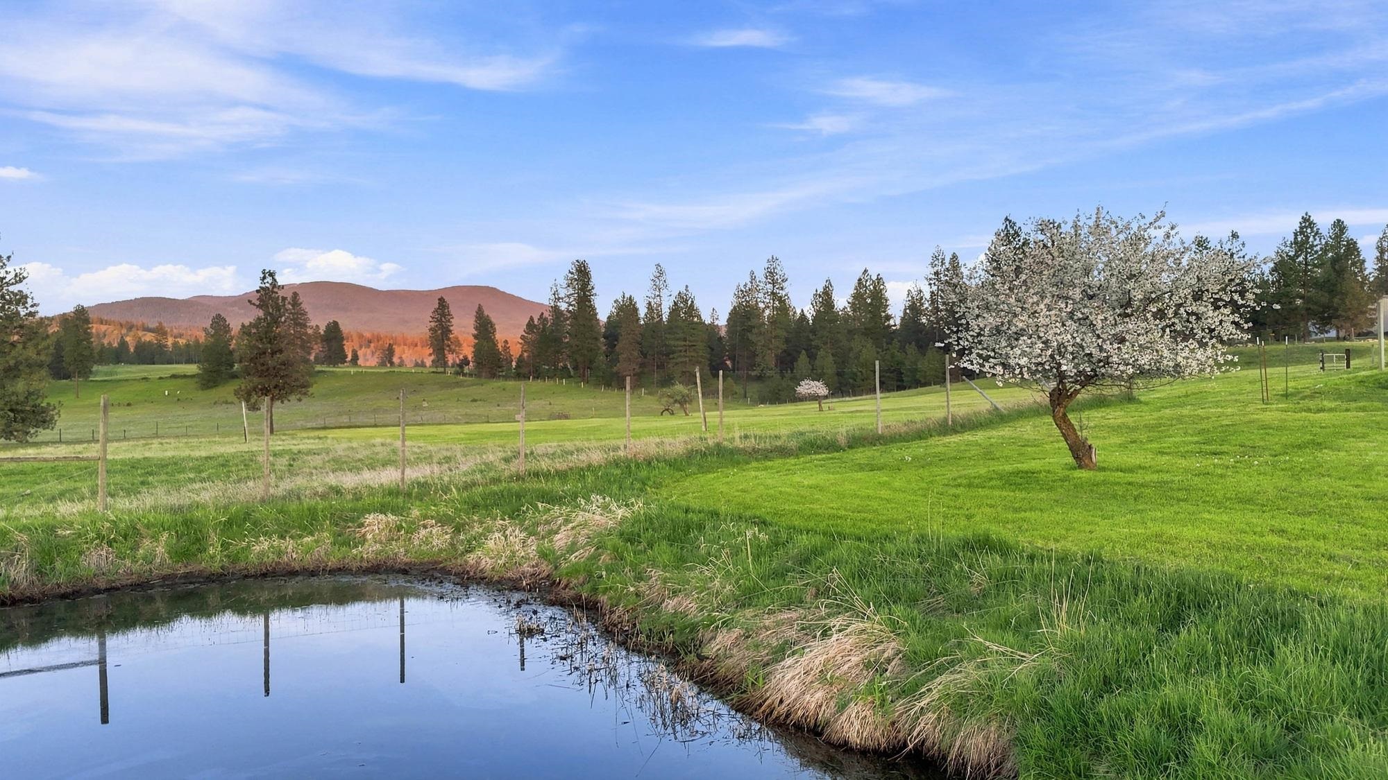32326 N Elk-Chattaroy Rd - Photo 41
