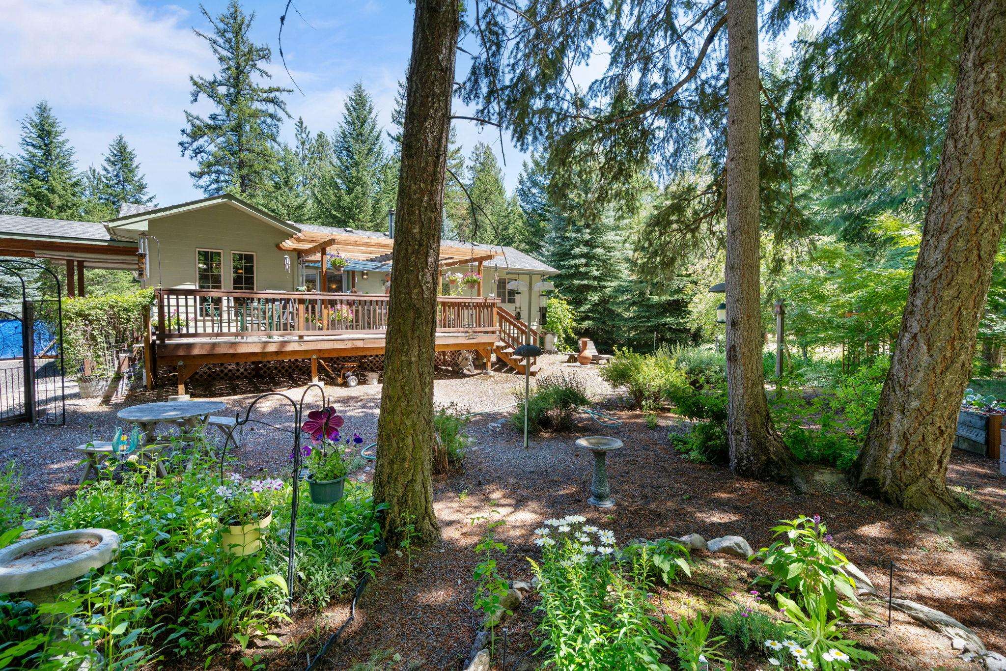 3853 White Pine Rd - Photo 3