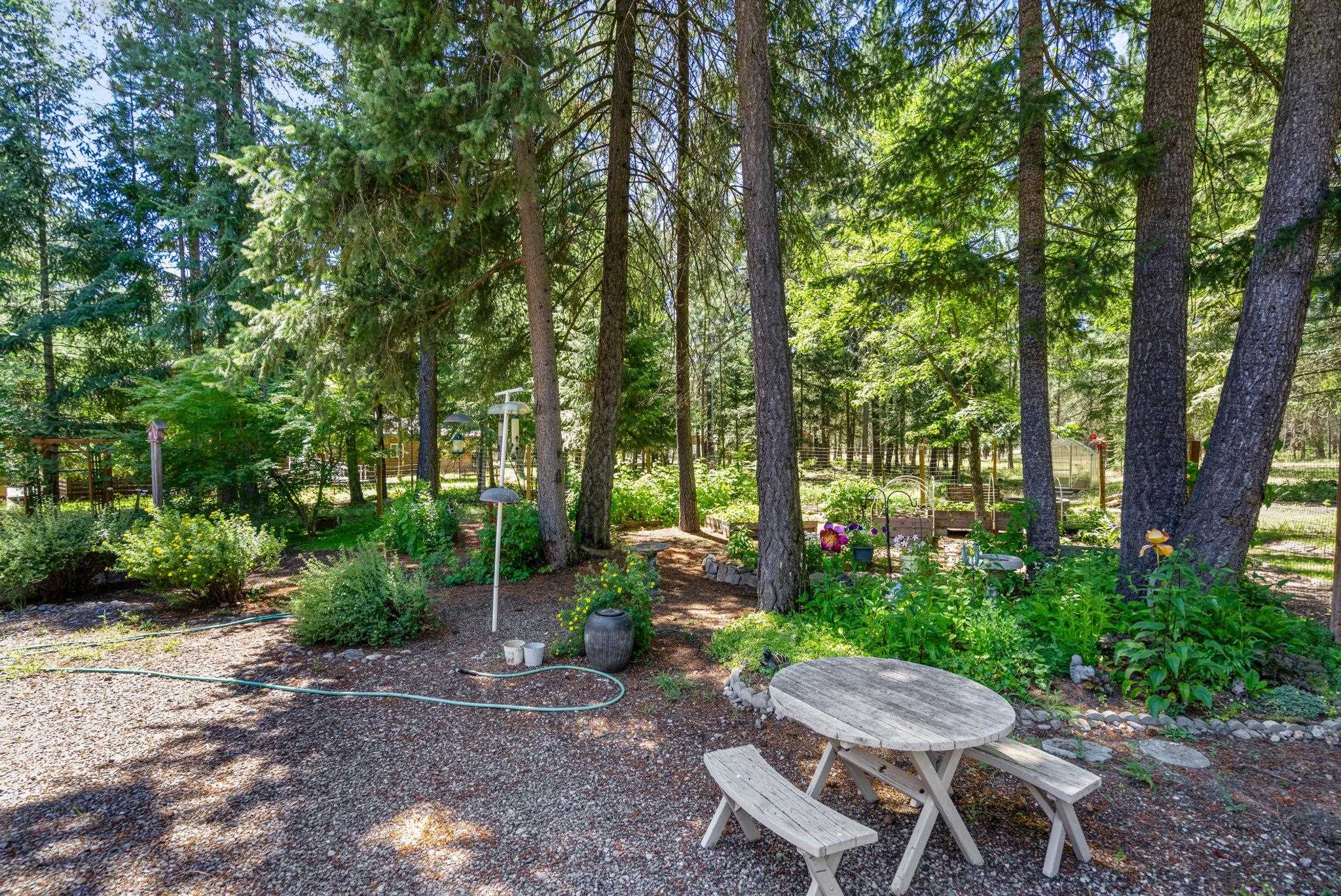 3853 White Pine Rd - Photo 4