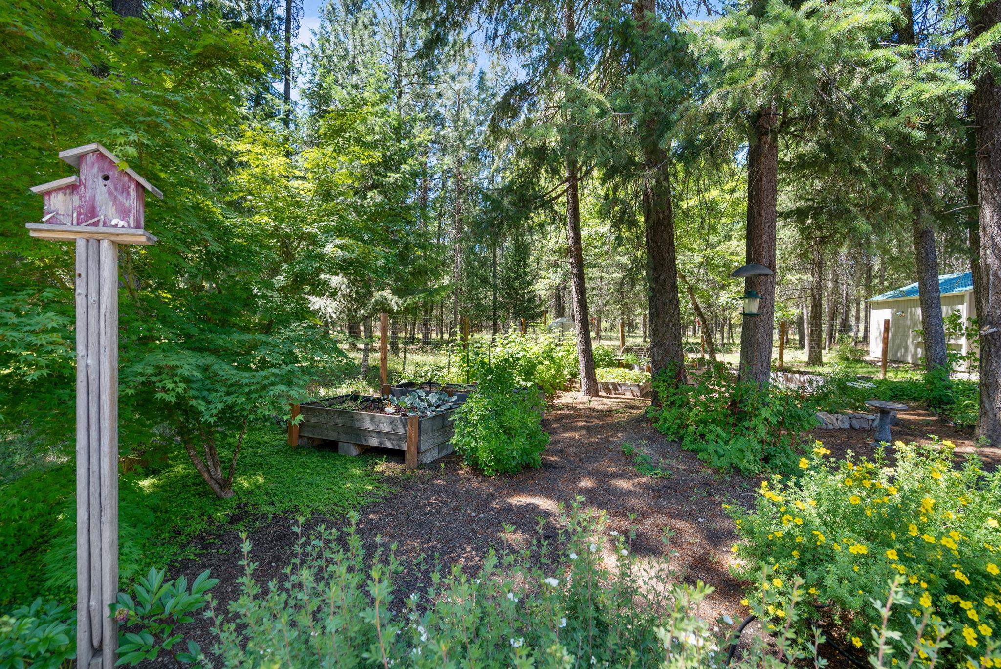 3853 White Pine Rd - Photo 38