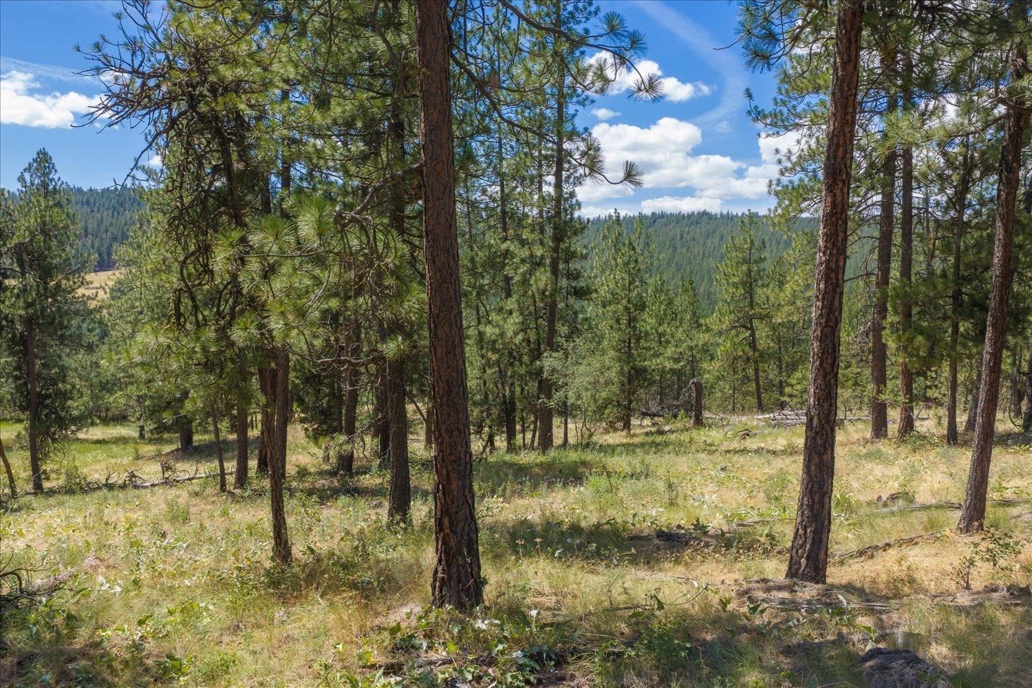 2625 S Stateline Rd - Photo 43