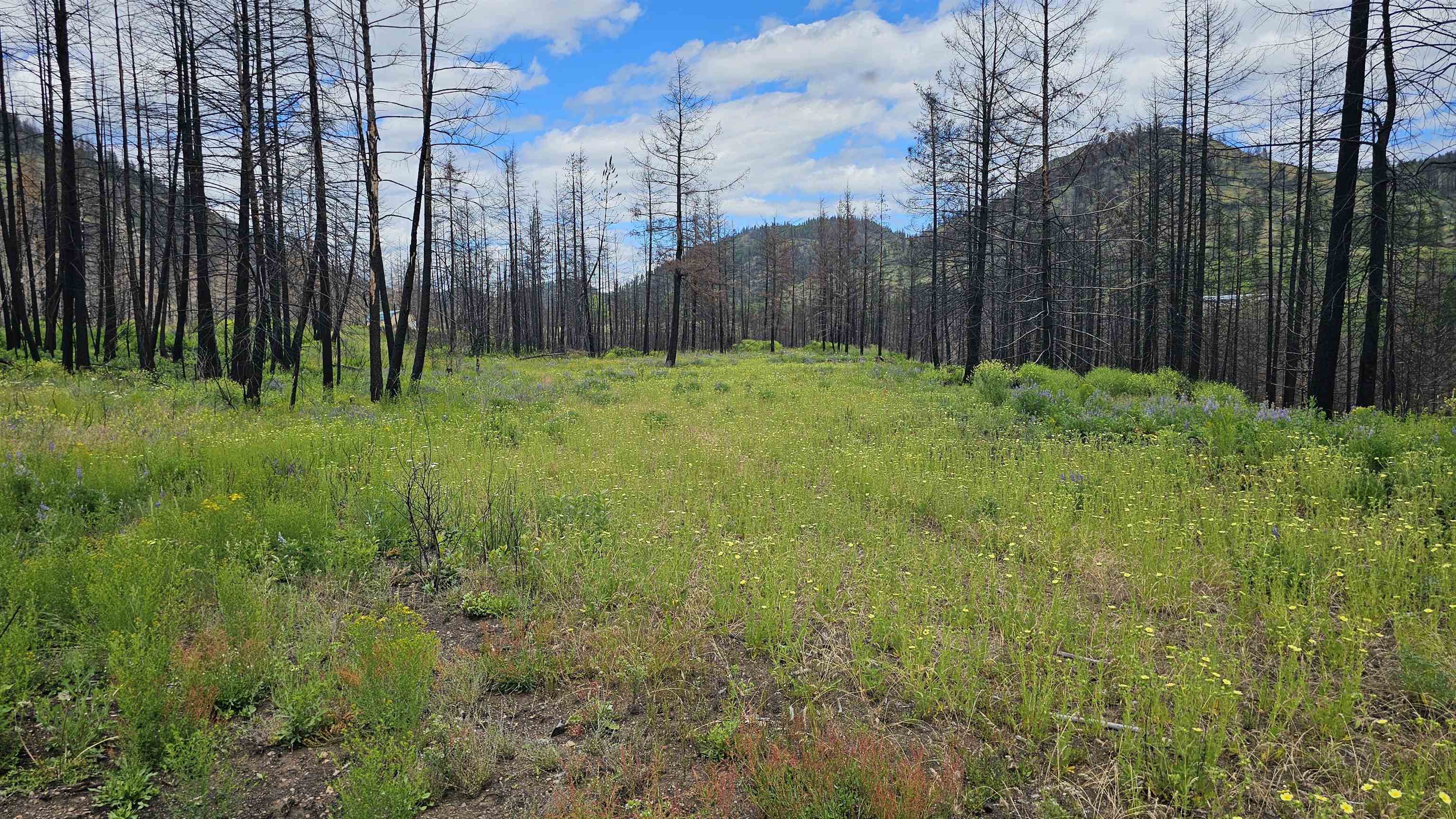 34XX Lael-Flat Creek Rd - Photo 10