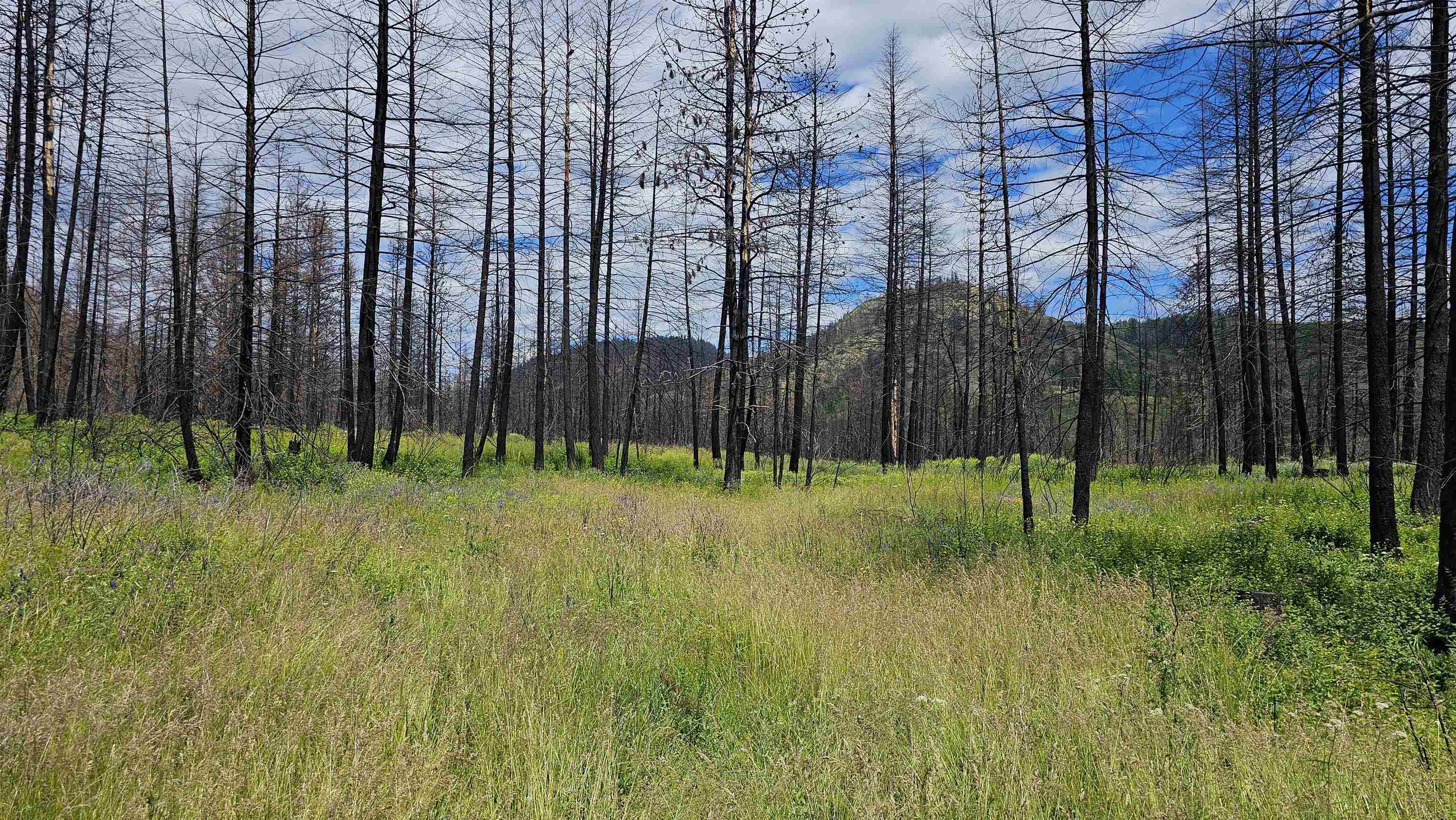 34XX Lael-Flat Creek Rd - Photo 17
