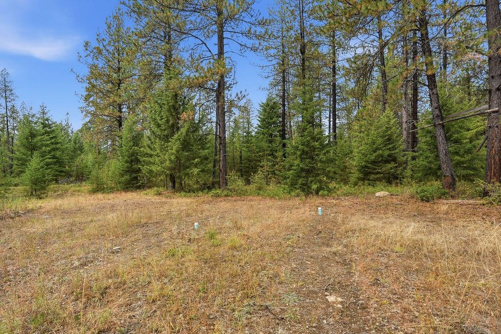 37311 N West Branch Rd - Photo 12