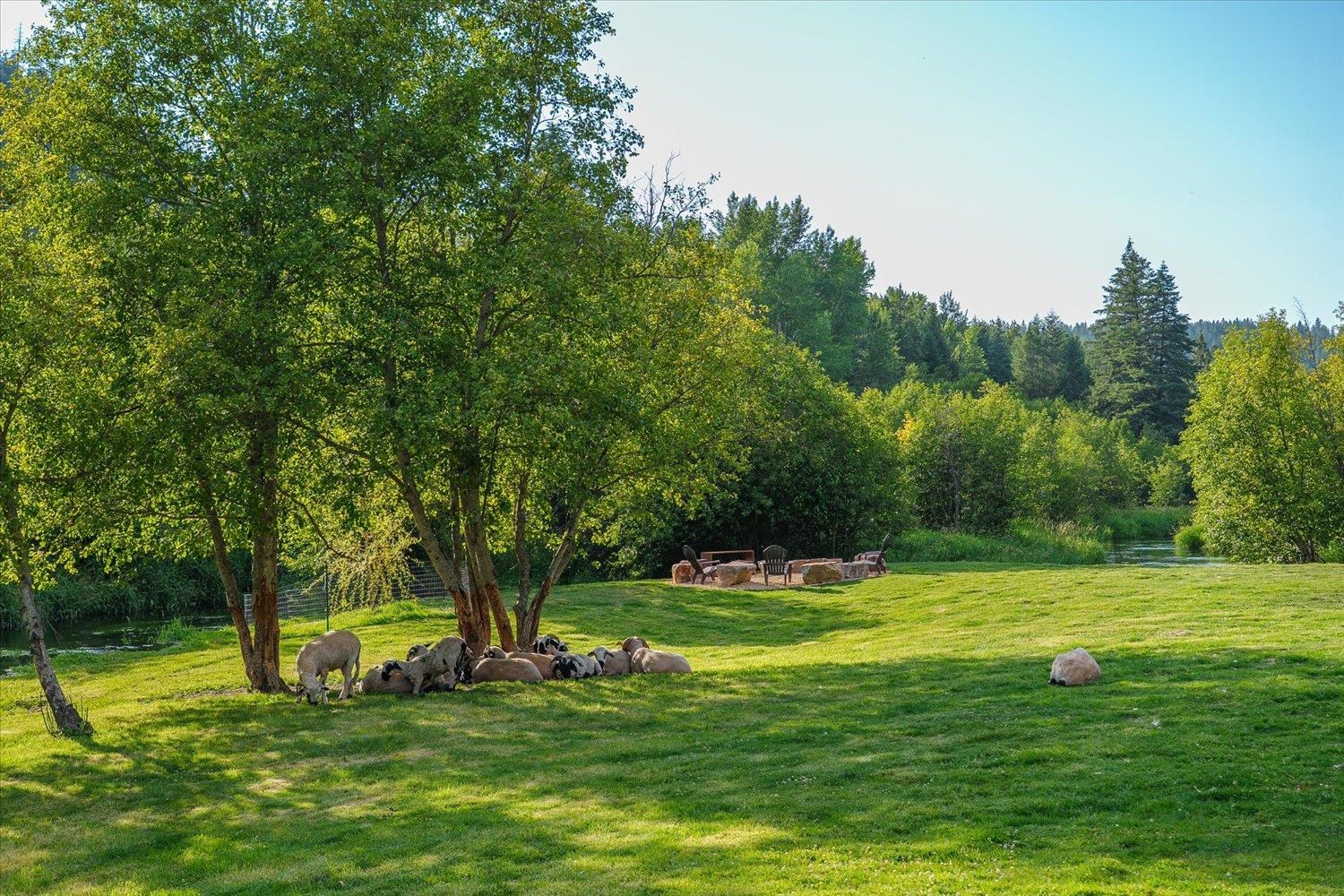 822 Little Spokane River Rd - Photo 15