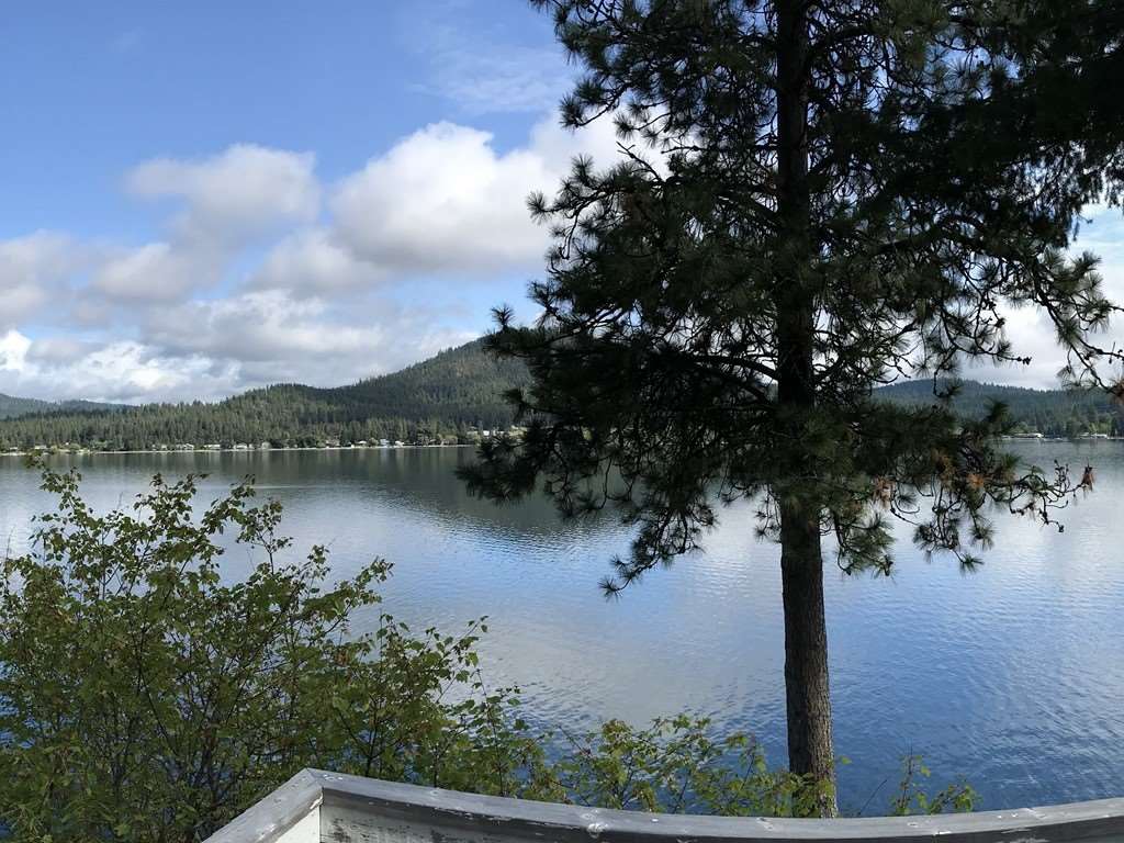 45198 Lake Shore Homes Rd - Photo 18