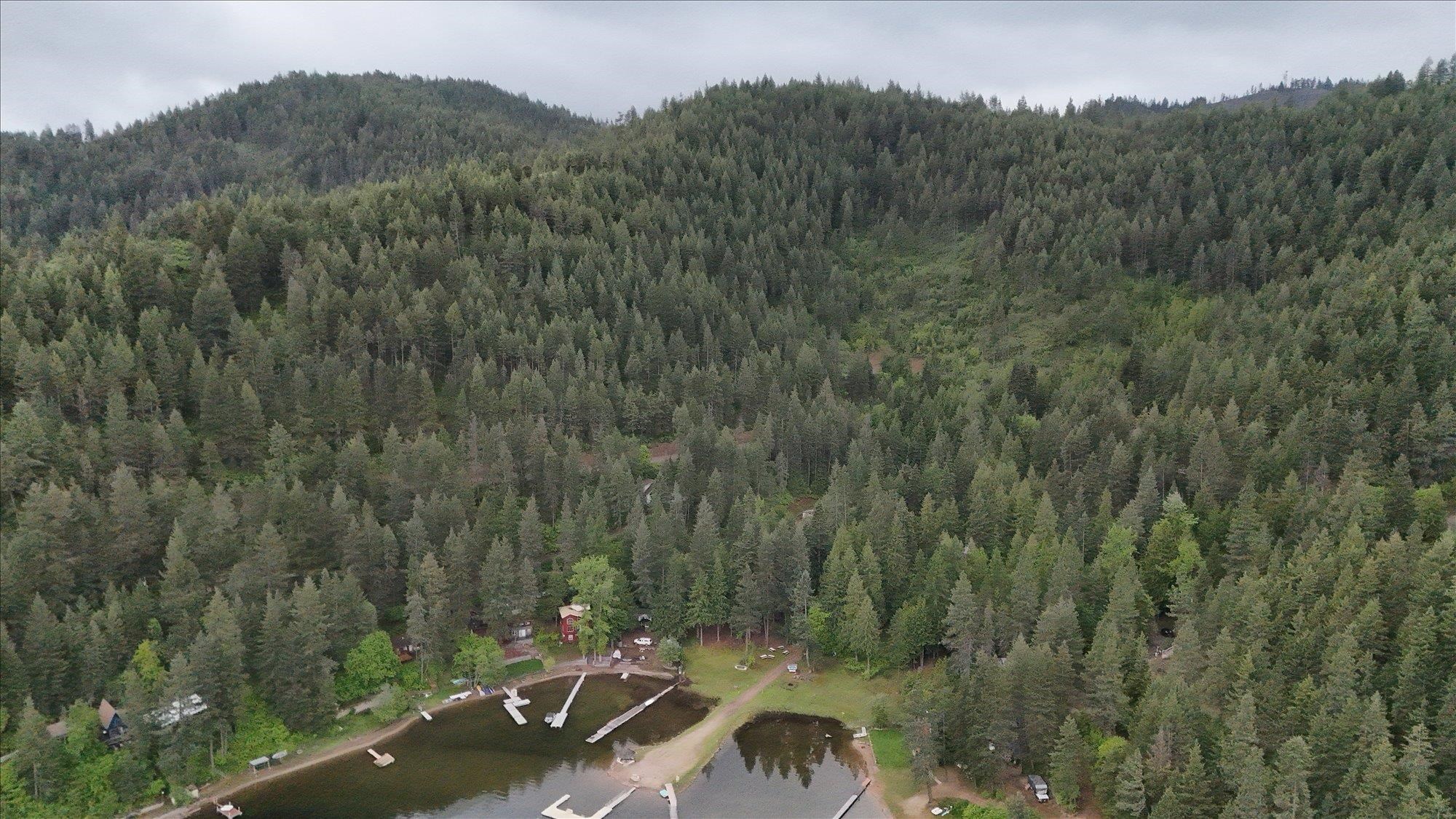 3970 Cedar Bay Rd - Photo 39