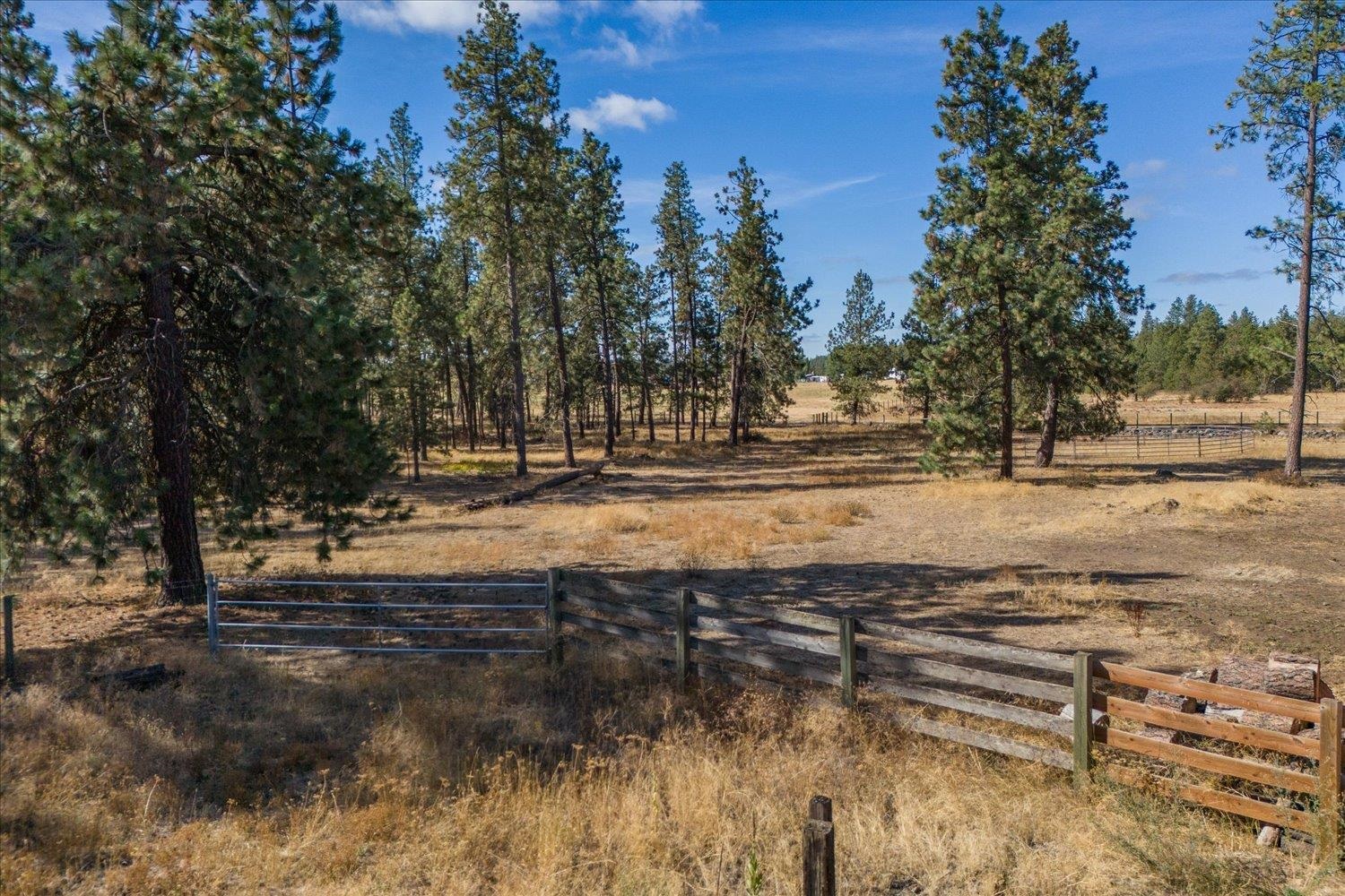 102E E Cameron Rd - Photo 4
