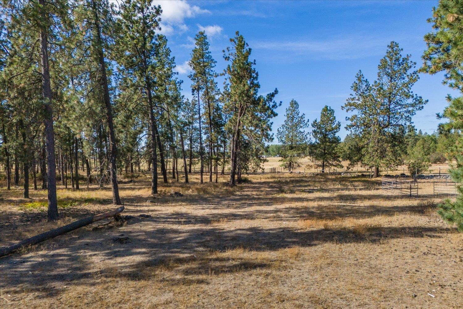 102C E Cameron Rd - Photo 6