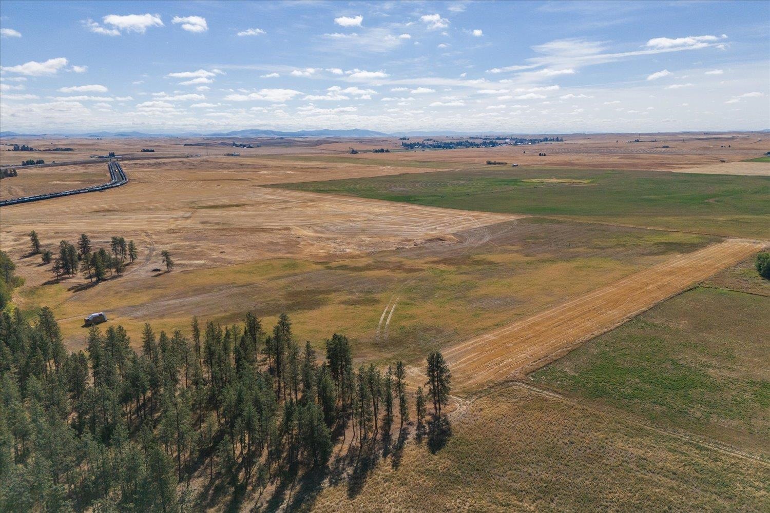 102C E Cameron Rd - Photo 11