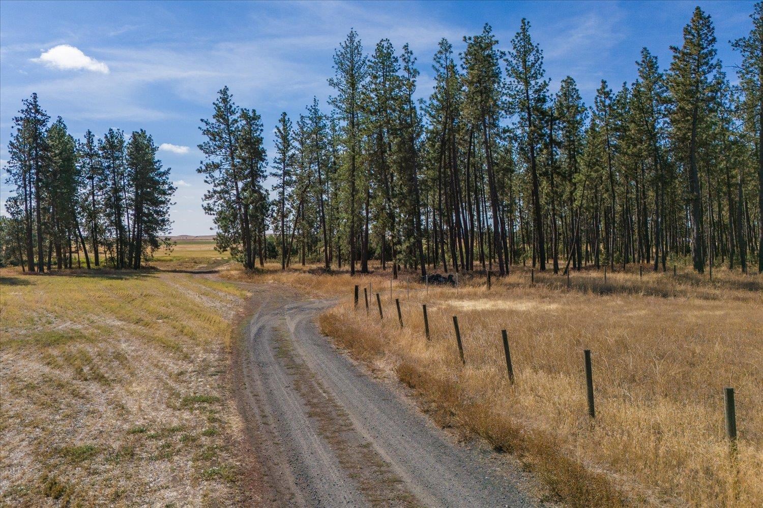 102C E Cameron Rd - Photo 4