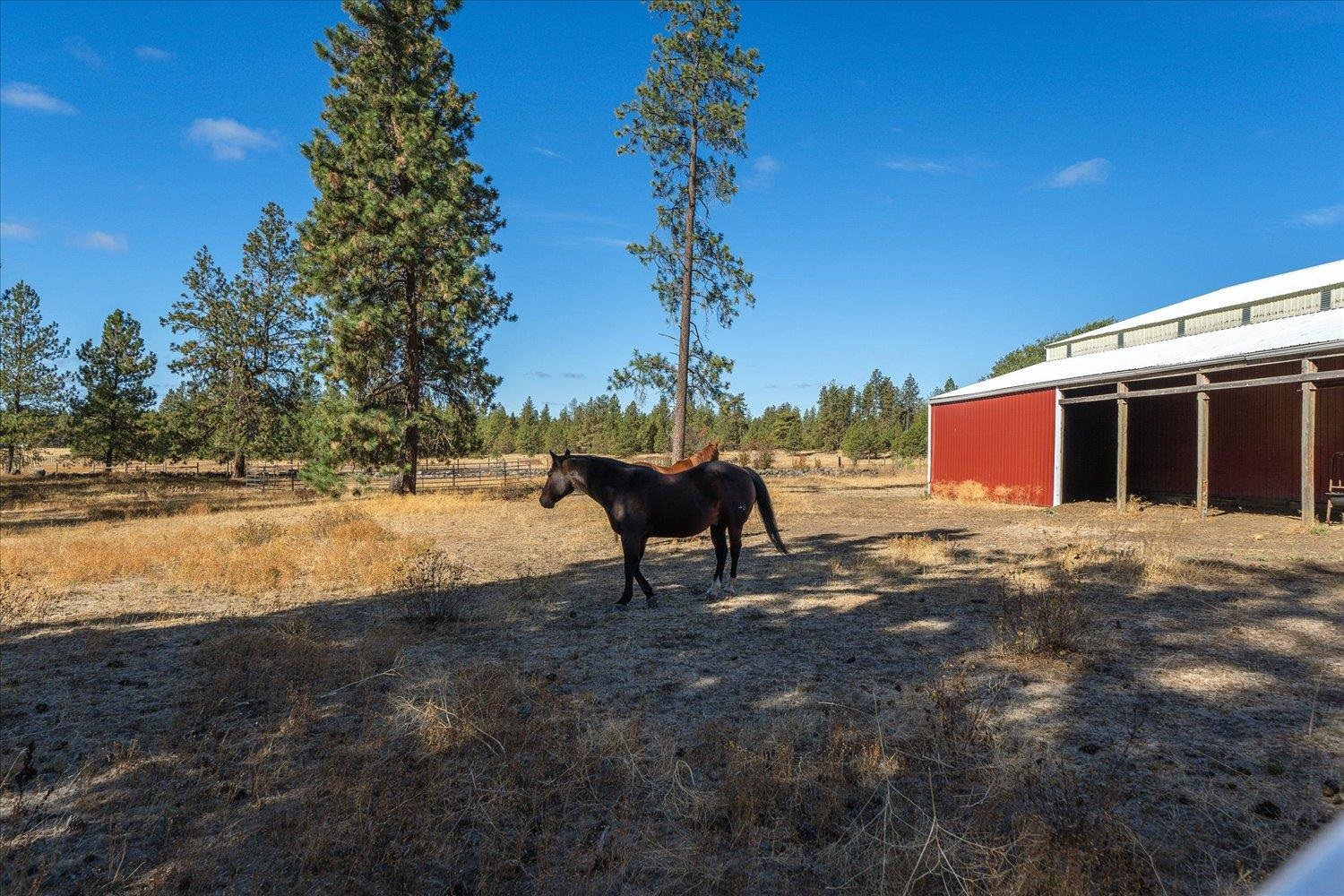 102A E Cameron Rd - Photo 12