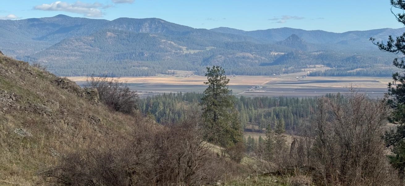 XXX Farm to Market Loop Rd - Photo 11
