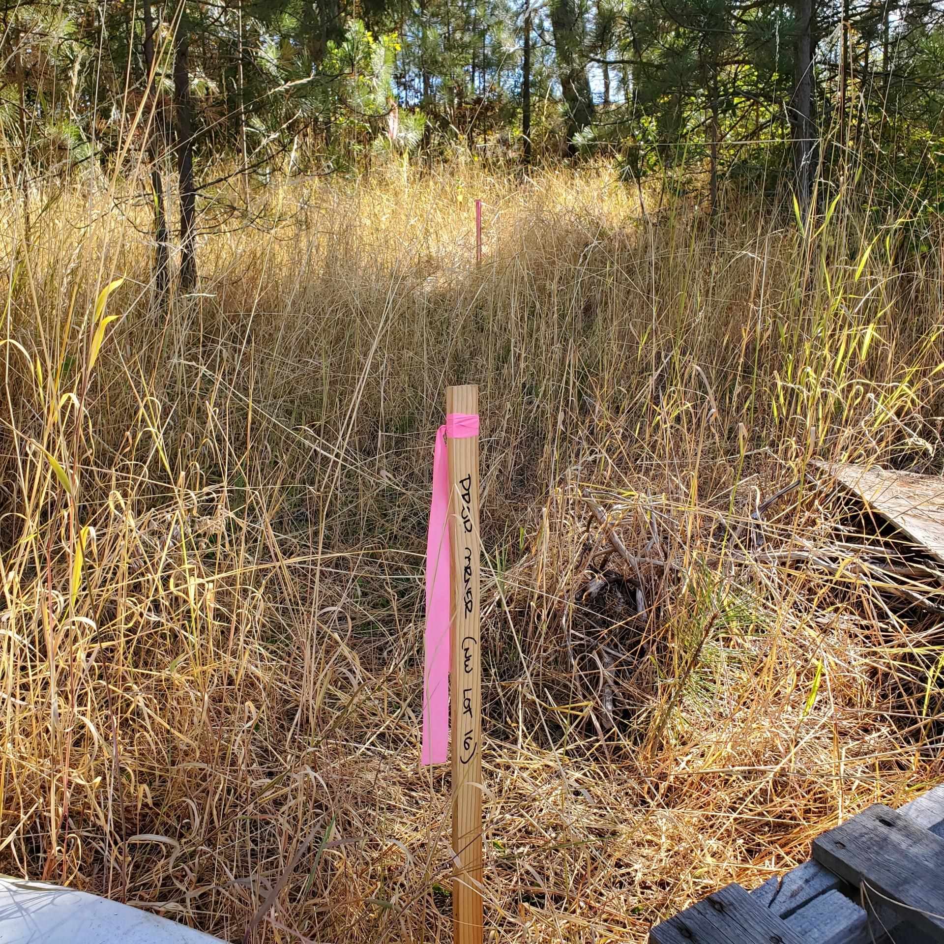 Vacant Land - Photo 4