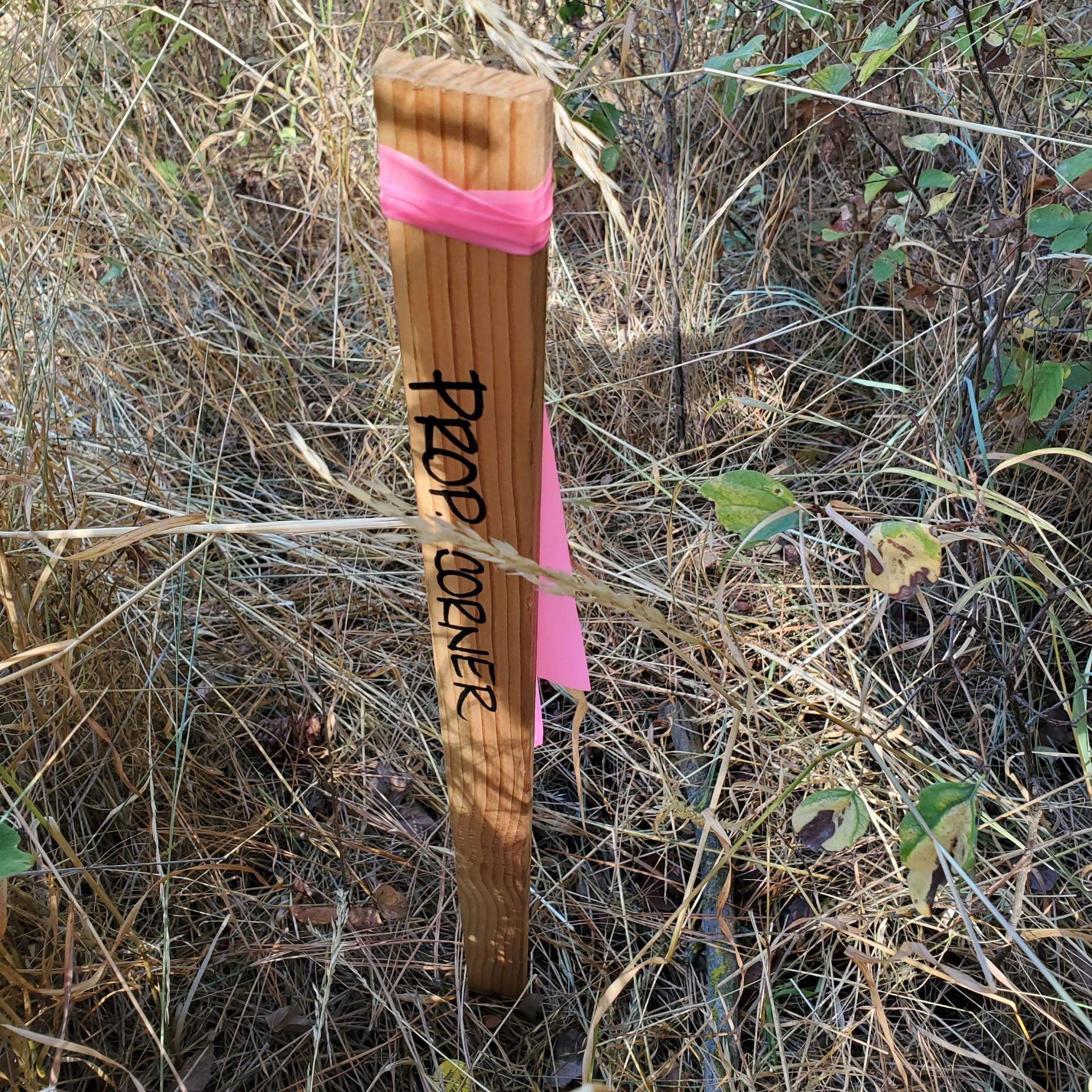 Vacant Land - Photo 6