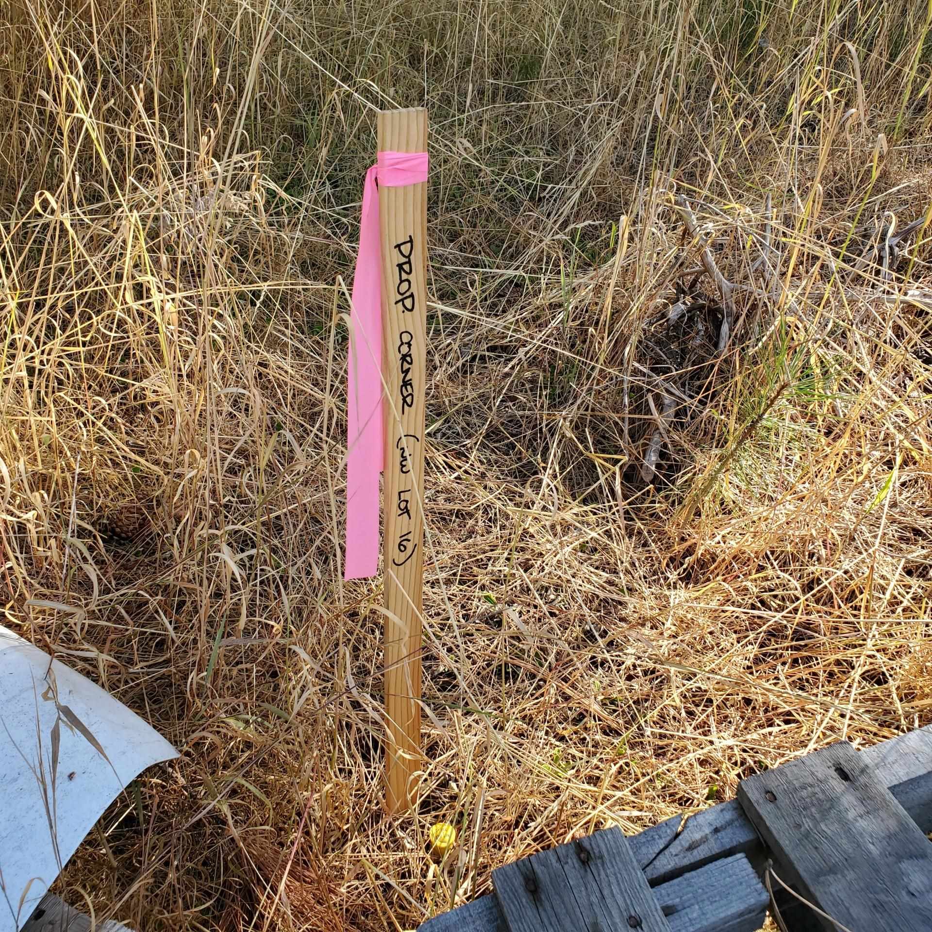 Vacant Land - Photo 7