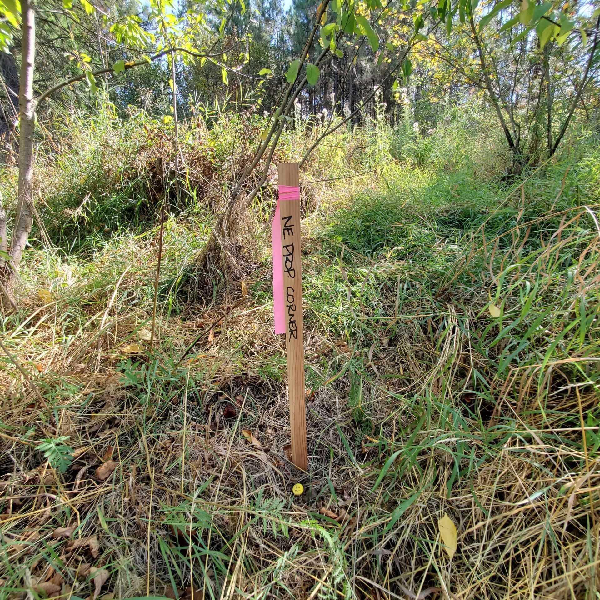Vacant Land - Photo 12