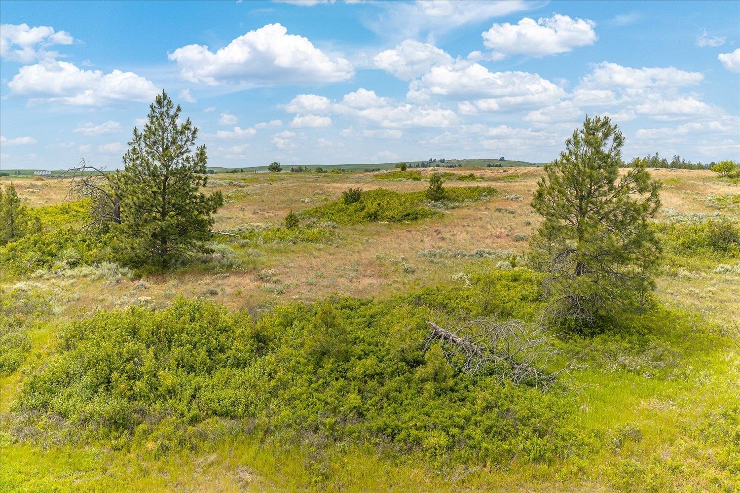 0 N Brooks Rd - Photo 4