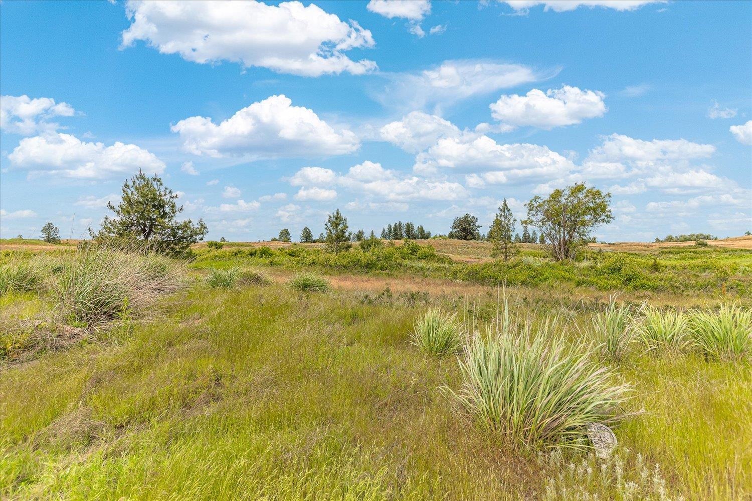 0 N Brooks Rd - Photo 9