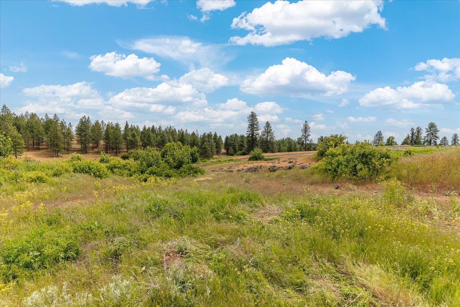 0 N Brooks Rd - Photo 10