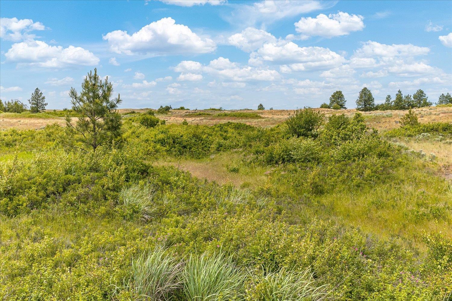 0 N Brooks Rd - Photo 18