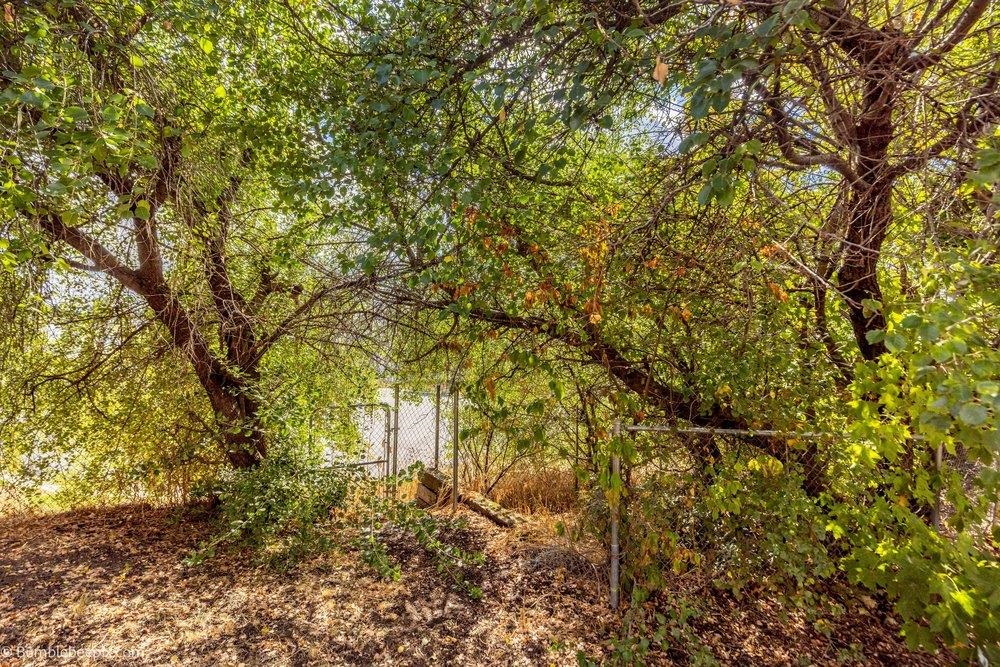 11524 E Buckeye Ave - Photo 23
