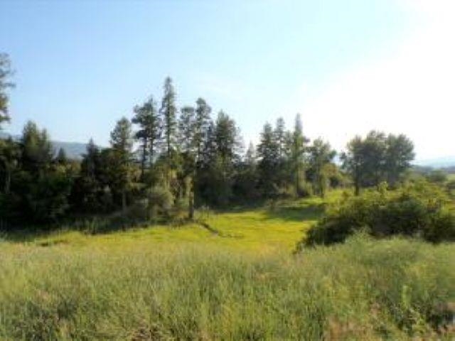 781 H HWY 395 Hwy - Photo 1