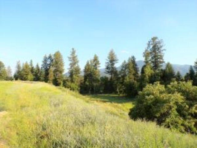 781 H HWY 395 Hwy - Photo 4