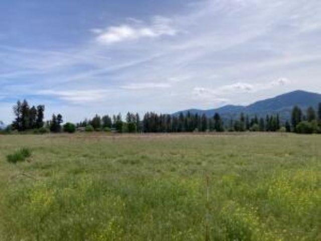 781 H HWY 395 Hwy - Photo 7
