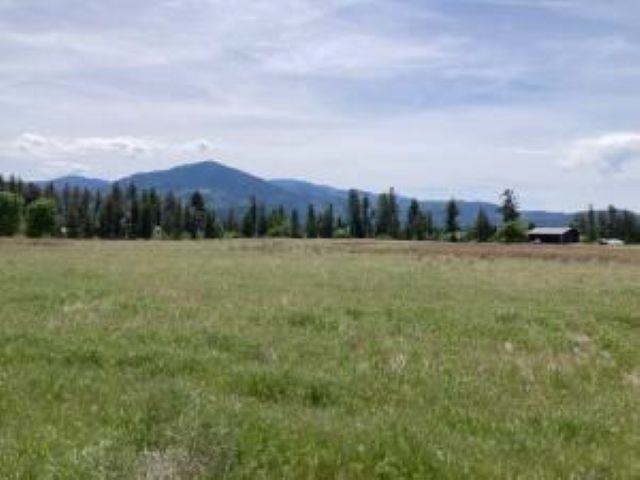 781 H HWY 395 Hwy - Photo 13